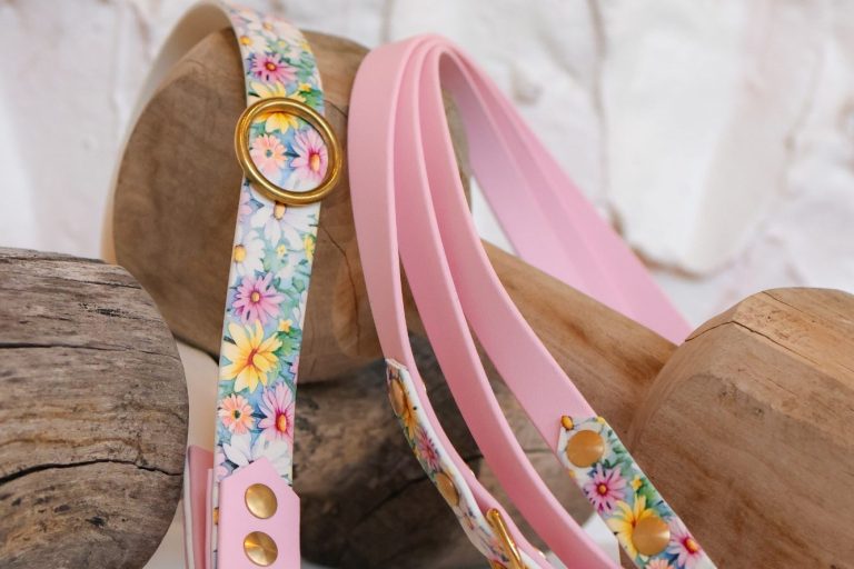 individuelle Leinen & Halsbänder nach Wunsch individuelle Leinen & Halsbänder nach Wunsch passend zum individuell angepassten Maulkorb