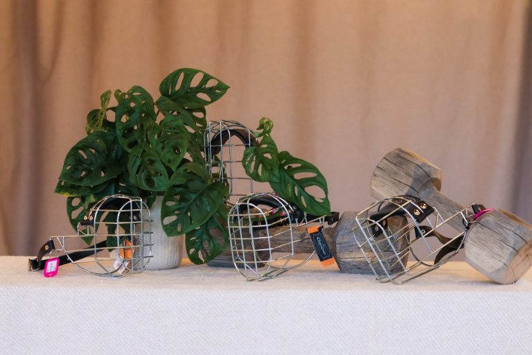 große Auswahl Drahtmaulkörbe große Auswahl Drahtmaulkörbe