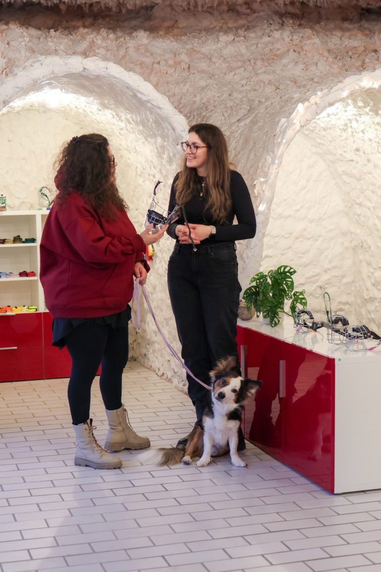 Maulkorbberatung Rhein-Sieg-Kreis Corgi Mix bei der Maulkorbberatung im Rhein-Sieg-Kreis