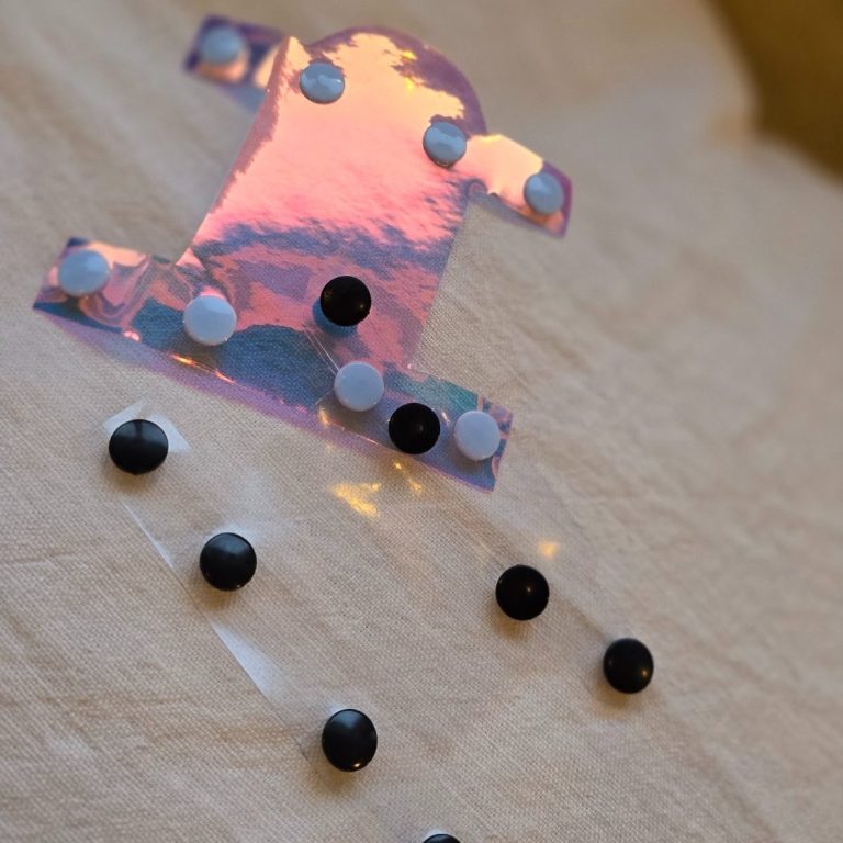 Fressschutz für Hund Fressschutz für Hund