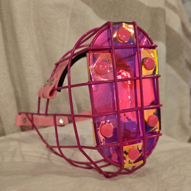 Fressschutz für Hunde