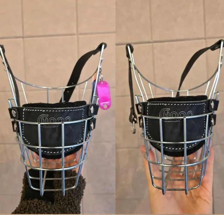 individuelle Maulkorbanpassung Bonn - Vorher Nachher Vergleich individuelle Maulkorbanpassung Bonn - Vorher Nachher Vergleich